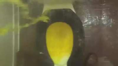#1