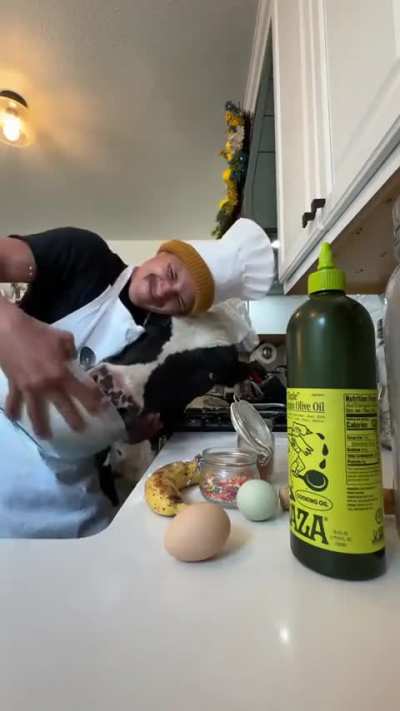 Not sure if I&rsquo;m too high or this vid is real