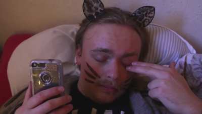 Cats at 3AM