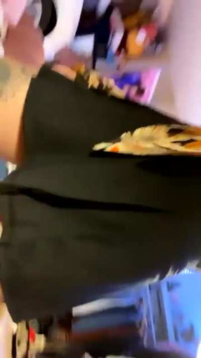 wait for the end