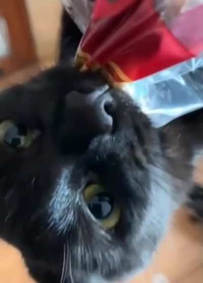 He craves the loaf