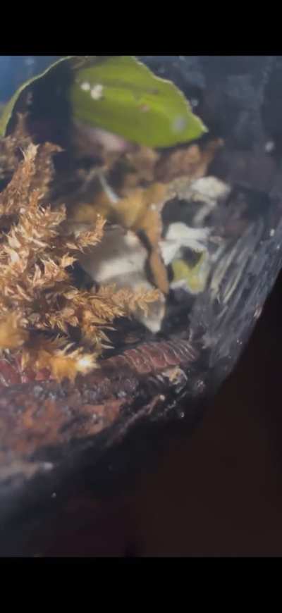 What is this?