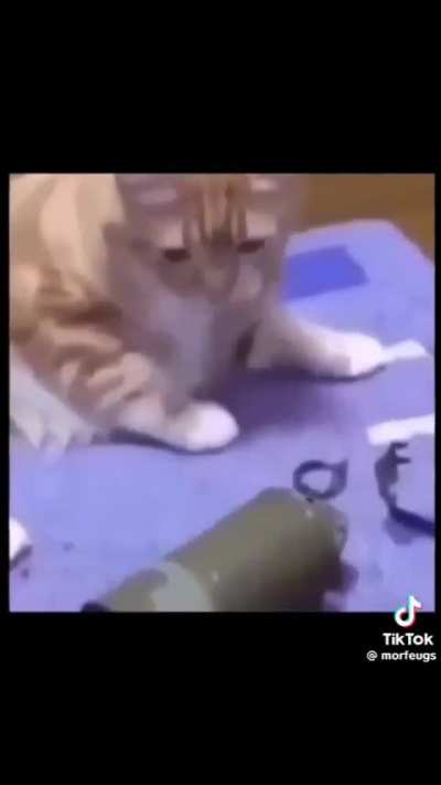 Catrot