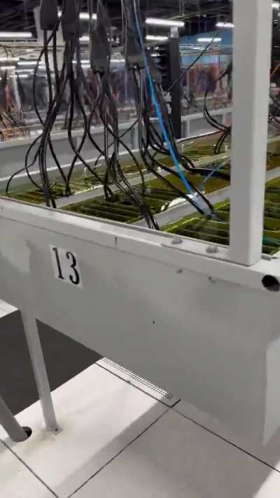 Inside look at a new Bitcoin Mining farm of Clean Spark in Norcross, Georgia using immersion cooling technology. The future of money is here!