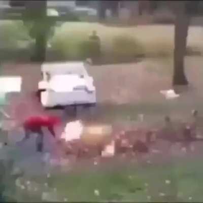 Ok