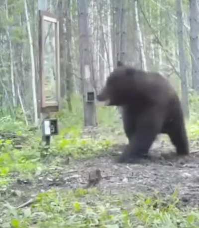 Beautiful morning walk in forest&hellip;..