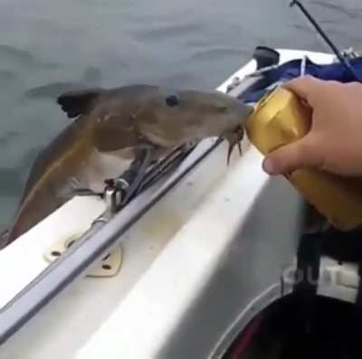 Bruh that’s a thirsty fish🗿