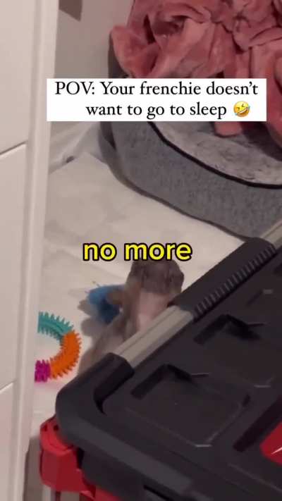 Wawawaaaa