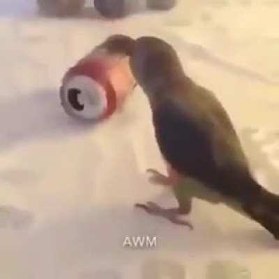 20k de Post Karma Let's Gooo