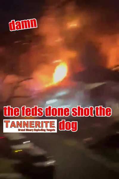 the feds done shot the mf Tannerite&reg; dog