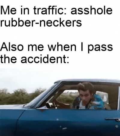 are those brains?