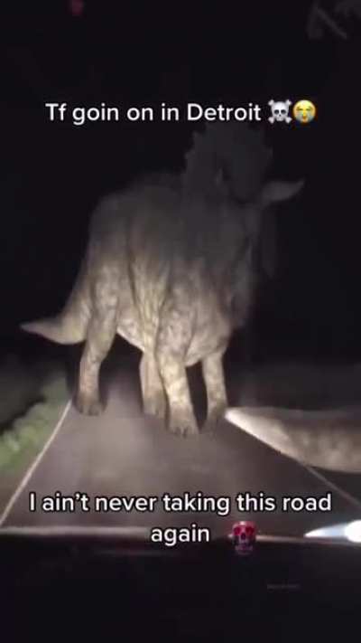 Huh?