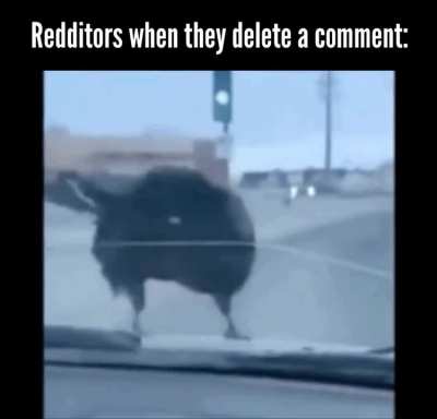 What did you say?!