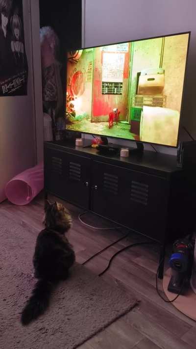 Day 2: He wont take his eyes off the screen