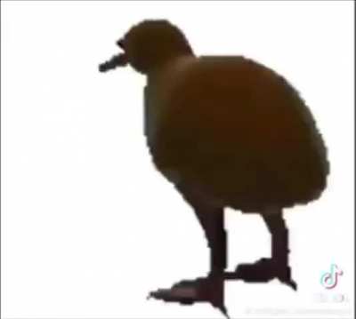 Blursed_funky kiwi
