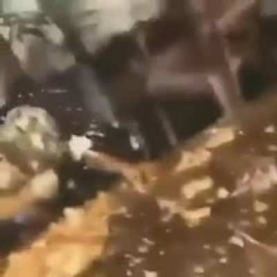 Pobre cabro