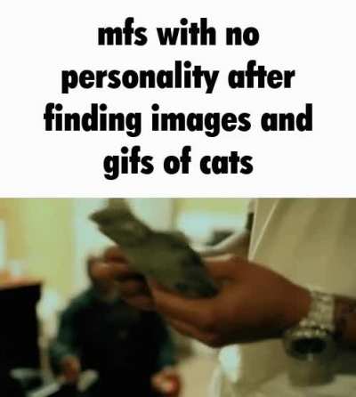 CATS!!!!