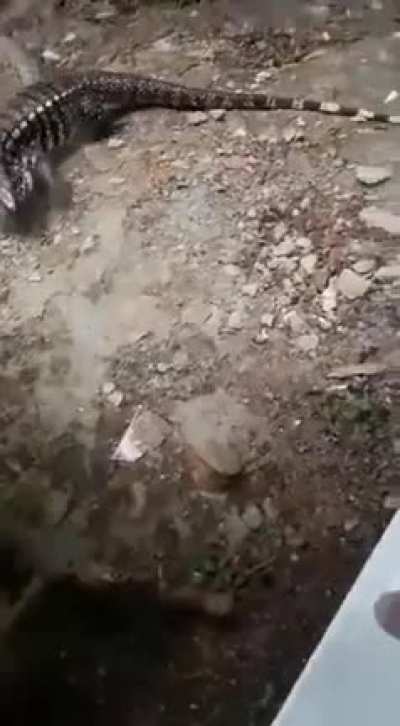 Eat it!