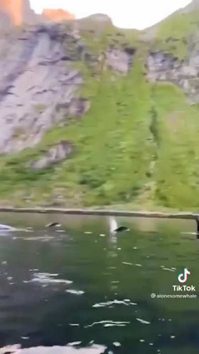 just out for a swim