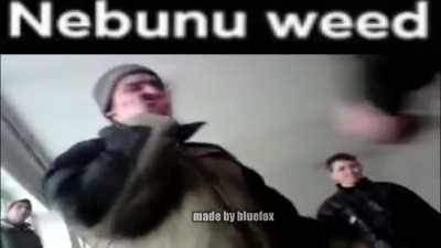top 5 nebunu weed