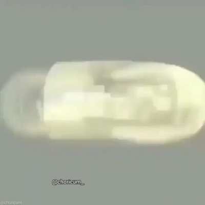 xd
