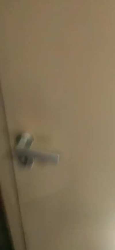 Villager and a door