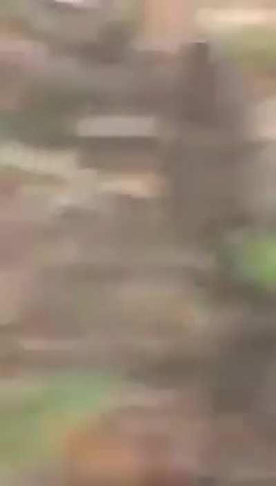 Dude rolled dead car down hill&hellip; absolutely destroys the car.