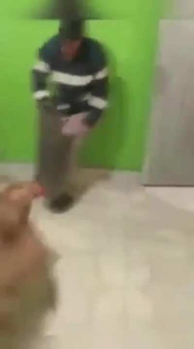WCGW giving a good boy a sword?