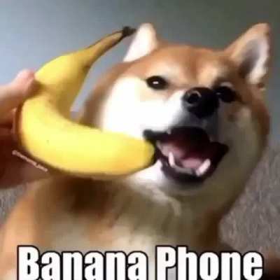 banana