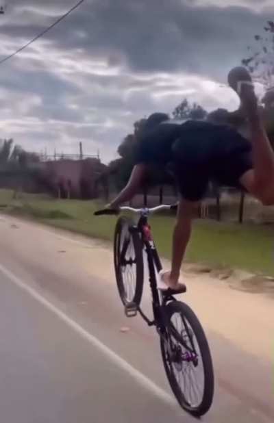 Why Did It Even Try To Cross?