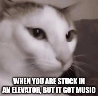 Well well, look who made a trashy meme again