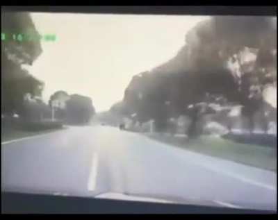 Man runs over a group of women