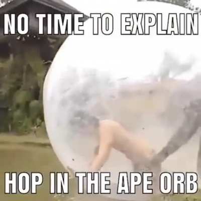 Monke orb