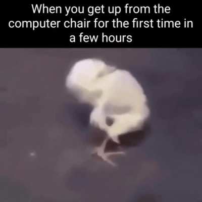 A real pain in the butt