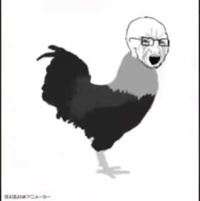 Wobirds