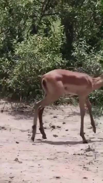 "Life, uh, finds a way"