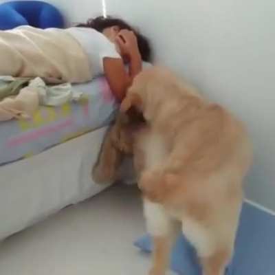please wake up please wake up please wake up please wake up