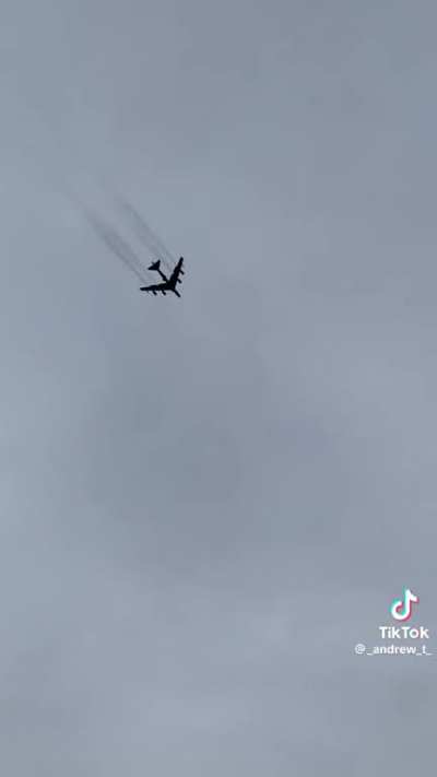 B-52 Bird Strike 
