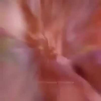 Enjoy