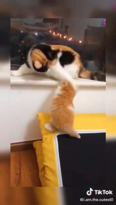 Eight lives left