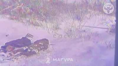 Two russian invaders attempted to evacuate a wounded occupier, but all three were eliminated by an FPV drone from Ukraine's "Strix" unit of the 47th Separate Mechanized Brigade. 19.02.2026