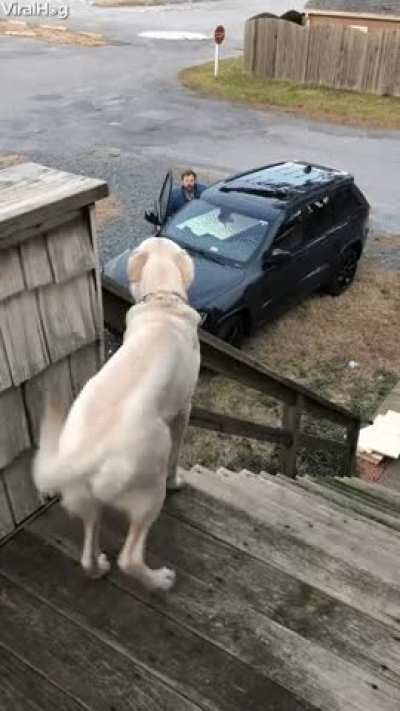 Twerk from a friend