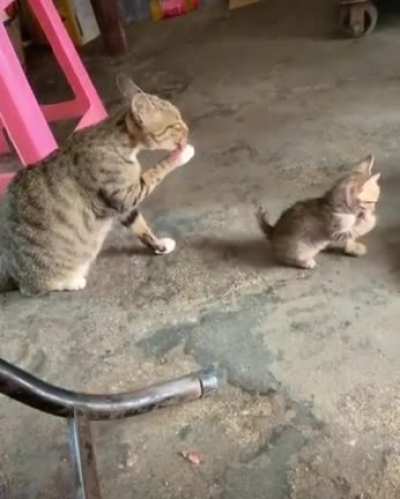 Don&rsquo;t ever talk to me or my son ever again