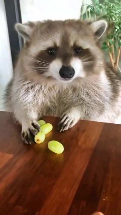 Awww🥰🥰