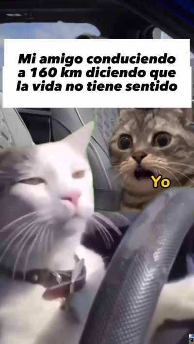 BeelcitosMemes - Video #4011