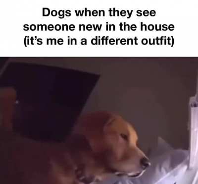 Not sure if this counts, but fuck it :3