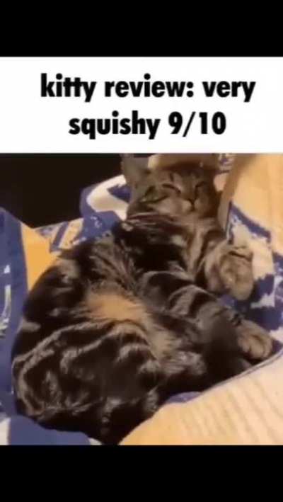 Cat review