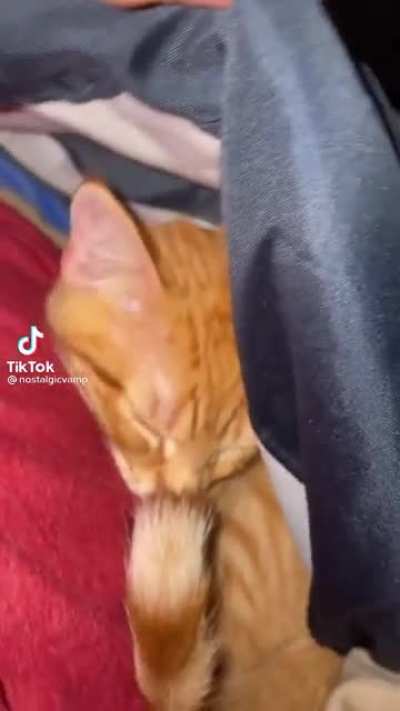 Cat was like &ldquo;No IM the boy&rdquo;