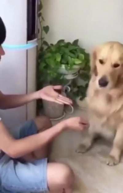 You have chosen ... poorly