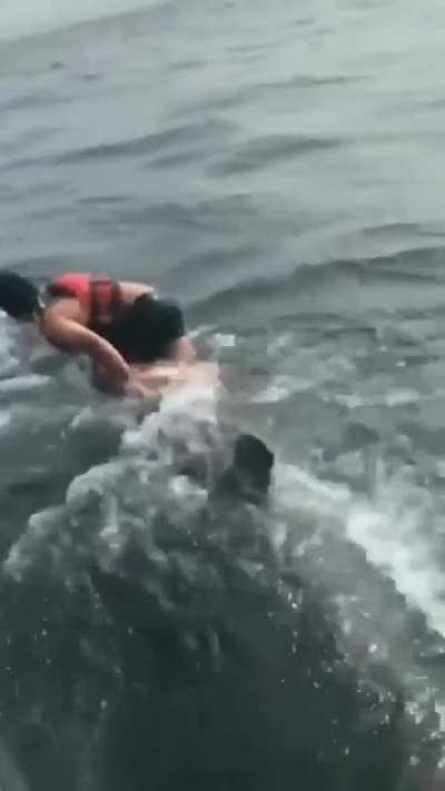 A man jumps into the water with a humpback whale and climbs on top of it to cut off a fishing line wrapped around it.